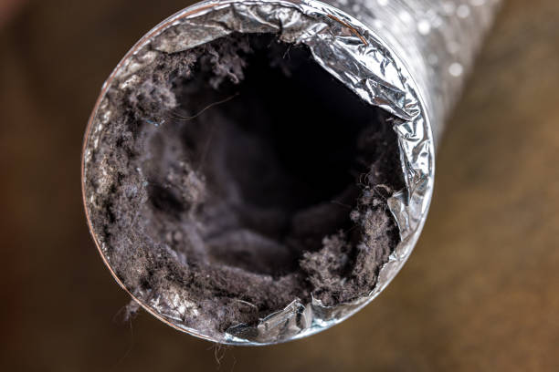 Best Residential Air Duct Cleaning  in Carson, WA